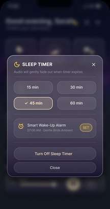 Sleep timer